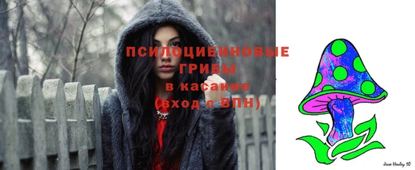 кокс Вяземский