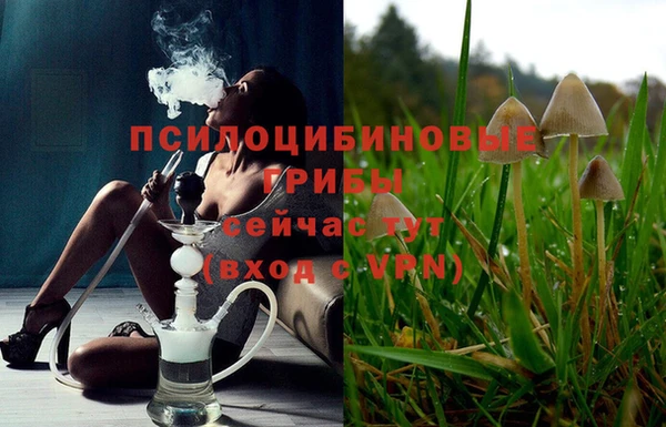 гидропоника Вязники