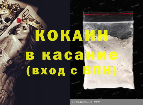 индика Горняк